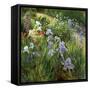 Irises and Oxeye Daisies, 1997-Timothy Easton-Framed Stretched Canvas