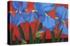 Irises and Red-John Newcomb-Stretched Canvas