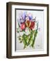 Irises and Roses, 2007-Joan Thewsey-Framed Giclee Print