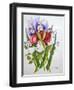 Irises and Roses, 2007-Joan Thewsey-Framed Giclee Print