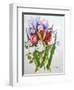 Irises and Roses, 2007-Joan Thewsey-Framed Giclee Print