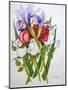 Irises and Roses, 2007-Joan Thewsey-Mounted Giclee Print