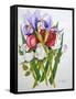 Irises and Roses, 2007-Joan Thewsey-Framed Stretched Canvas