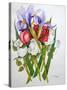 Irises and Roses, 2007-Joan Thewsey-Stretched Canvas