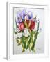 Irises and Roses, 2007-Joan Thewsey-Framed Giclee Print