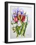 Irises and Roses, 2007-Joan Thewsey-Framed Giclee Print