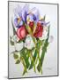 Irises and Roses, 2007-Joan Thewsey-Mounted Giclee Print