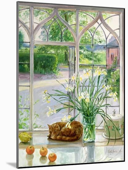 Irises and Sleeping Cat, 1990-Timothy Easton-Mounted Giclee Print