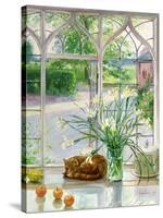 Irises and Sleeping Cat, 1990-Timothy Easton-Stretched Canvas