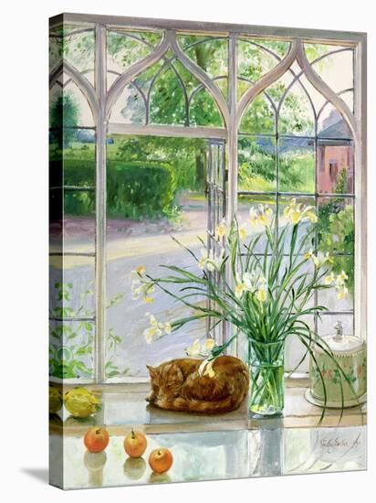 Irises and Sleeping Cat, 1990-Timothy Easton-Stretched Canvas