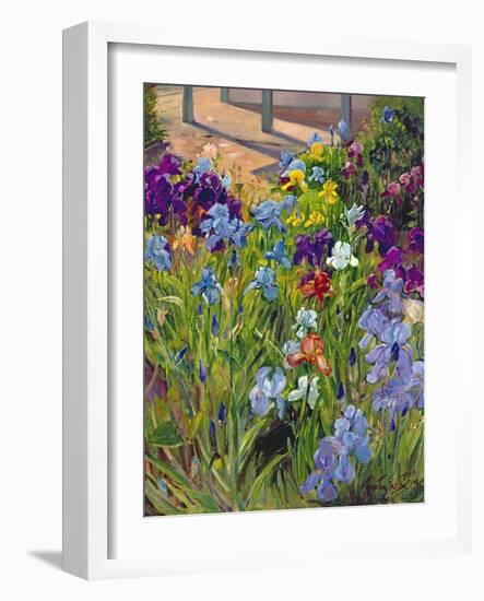 Irises and Summer House Shadows, 1996-Timothy Easton-Framed Giclee Print