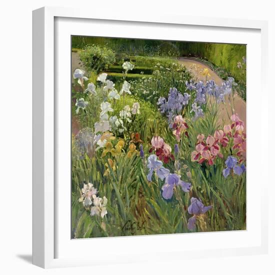 Irises at Bedfield-Timothy Easton-Framed Giclee Print