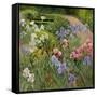 Irises at Bedfield-Timothy Easton-Framed Stretched Canvas