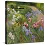 Irises at Bedfield-Timothy Easton-Stretched Canvas