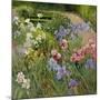 Irises at Bedfield-Timothy Easton-Mounted Giclee Print