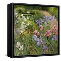 Irises at Bedfield-Timothy Easton-Framed Stretched Canvas