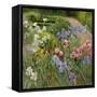 Irises at Bedfield-Timothy Easton-Framed Stretched Canvas