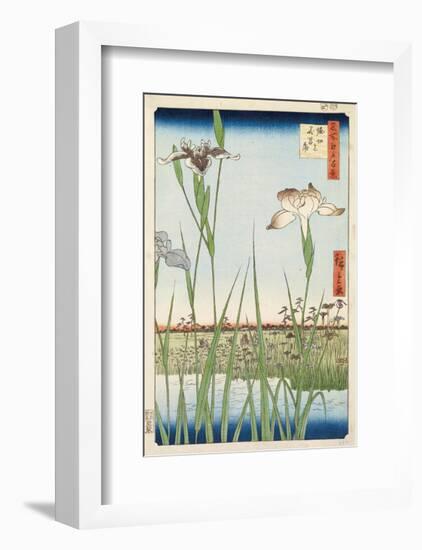 Irises at Horikiri, 1857-Ando Hiroshige-Framed Art Print