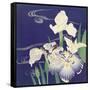 Irises, C. 1890-1900-Kogyo Tsukioka-Framed Stretched Canvas