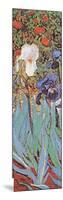 Irises Detail 2-Vincent van Gogh-Mounted Art Print