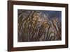 Irises (detail)-Claude Monet-Framed Art Print