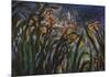 Irises (detail)-Claude Monet-Mounted Art Print