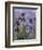 Irises (detail)-Claude Monet-Framed Art Print