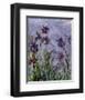 Irises (detail)-Claude Monet-Framed Art Print
