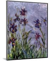 Irises (detail)-Claude Monet-Mounted Art Print