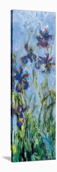 Irises (detail)-Claude Monet-Framed Stretched Canvas