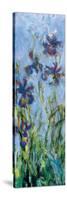 Irises (detail)-Claude Monet-Stretched Canvas