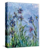 Irises (detail)-Claude Monet-Stretched Canvas