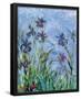 Irises - detail-Claude Monet-Framed Mini Poster