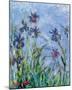 Irises - detail-Claude Monet-Mounted Mini Poster