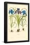Irises Flowers-null-Framed Poster