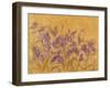 Irises I-li bo-Framed Giclee Print