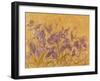 Irises I-li bo-Framed Giclee Print