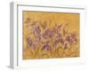 Irises I-li bo-Framed Giclee Print