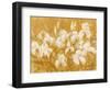 Irises II-li bo-Framed Giclee Print