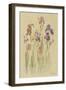 Irises II-Cheri Blum-Framed Art Print