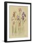 Irises II-Cheri Blum-Framed Art Print