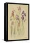 Irises II-Cheri Blum-Framed Stretched Canvas