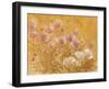 Irises III-li bo-Framed Giclee Print