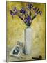 Irises in a Tall Vase, 1928-Christopher Wood-Mounted Giclee Print