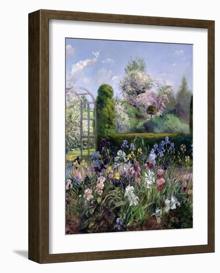 Irises in the Formal Gardens, 1993-Timothy Easton-Framed Giclee Print