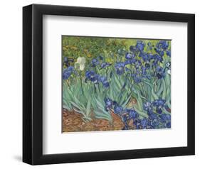 Irises in the Garden-Vincent van Gogh-Framed Art Print