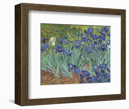 Irises in the Garden-Vincent van Gogh-Framed Art Print