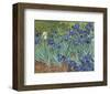 Irises in the Garden-Vincent van Gogh-Framed Art Print