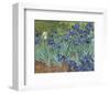 Irises in the Garden-Vincent van Gogh-Framed Art Print