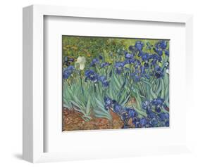 Irises in the Garden-Vincent van Gogh-Framed Art Print